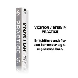 Stein P - Vicktor Practice